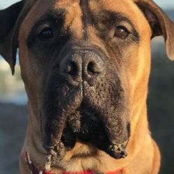 Wilma_Titel-Kopfbild