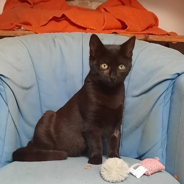 Anita Annelise und Arnold 4