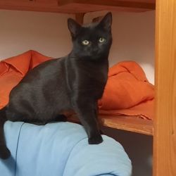 Anita_Annelise_und_Arnold_1