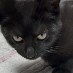 Anita_Annelise_und_Arnold_2