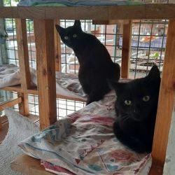 Anita_Annelise_und_Arnold_3