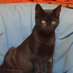 Anita_Annelise_und_Arnold_4