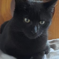 Anita_Annelise_und_Arnold_5