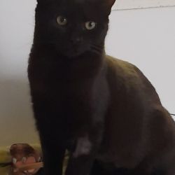 Anita_Annelise_und_Arnold_6