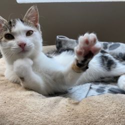 Barnchen_und_Sonnenscheinchen_1