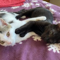 Barnchen_und_Sonnenscheinchen_10