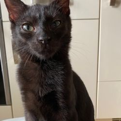 Barnchen_und_Sonnenscheinchen_2