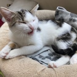 Barnchen_und_Sonnenscheinchen_3