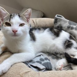 Barnchen_und_Sonnenscheinchen_4