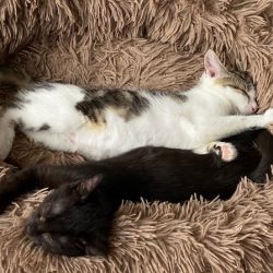 Barnchen_und_Sonnenscheinchen_5