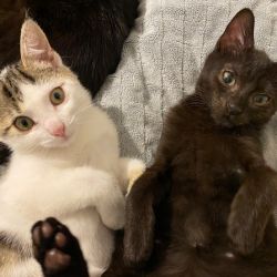 Barnchen_und_Sonnenscheinchen_8