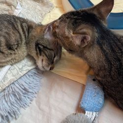 Vali_und_Vincenco_10