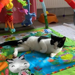 Kleiner_Soldat_neu_1