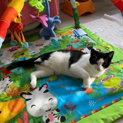 Kleiner_Soldat_neu_2