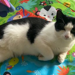 Kleiner_Soldat_neu_3