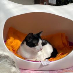 Kleiner_Soldat_neu_4