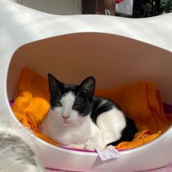 Kleiner_Soldat_neu_5