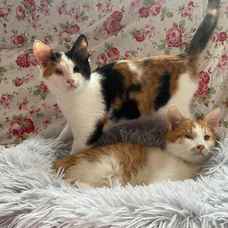 Clara Glck und Kuni Klee