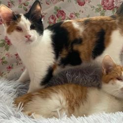 Clara_Glck_und_Kuni_Klee