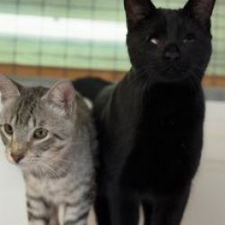 Schmusebert_und_Ruber