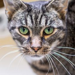 IMG_3188_Olivia_quadratisch