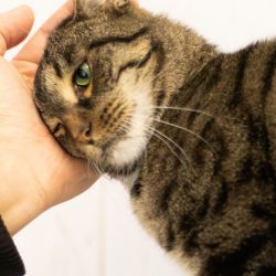 IMG_3245_Olivia_quadratisch