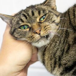 IMG_3250_Olivia_quadratisch