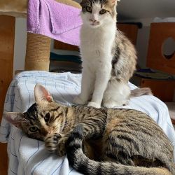 Casa-Nova_Patachon_1