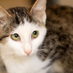 IMG_3332_Lora_quadratisch