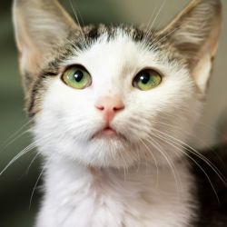 IMG_3404_Lora_quadratisch