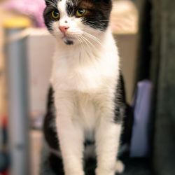 IMG_3350_Roland_kaiser_quadratisch