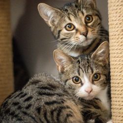 IMG_4811_max_und_shila