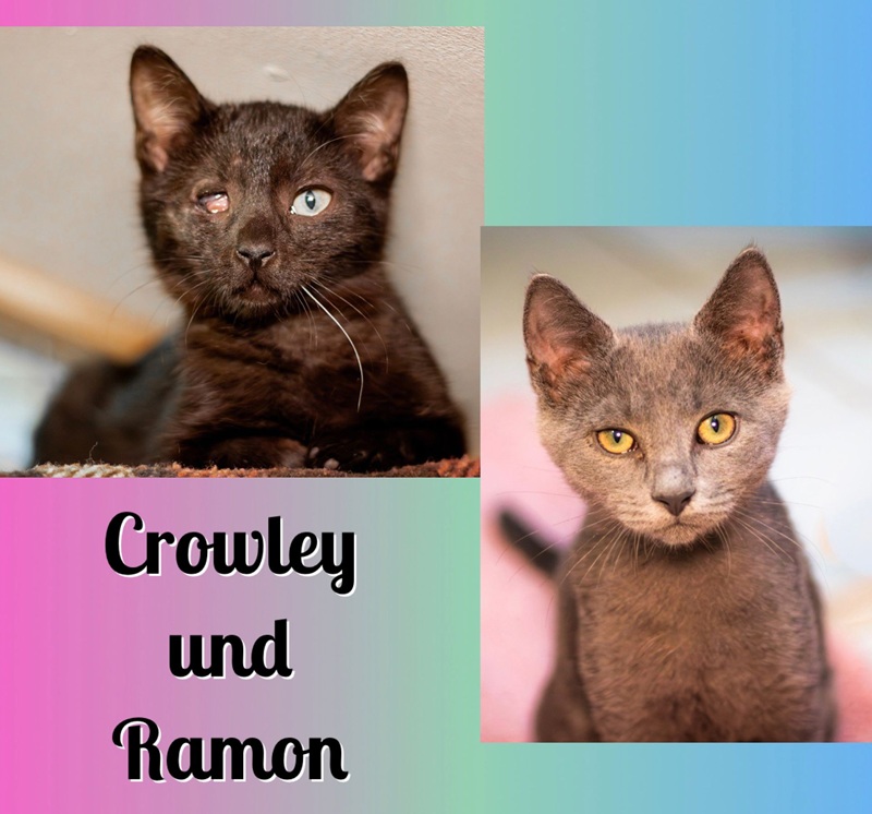 Crowley und Ramon