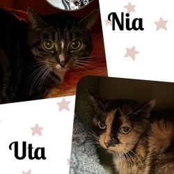 Nia_und_Uta