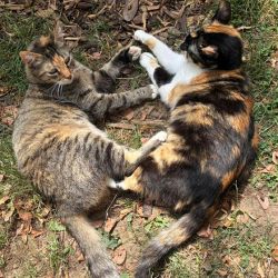 Naomi_und_Miss_Purrfect