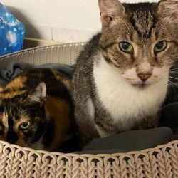 Sokrates_und_Tilda_4