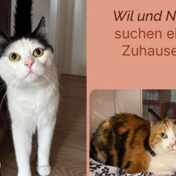Wil_und_Niki