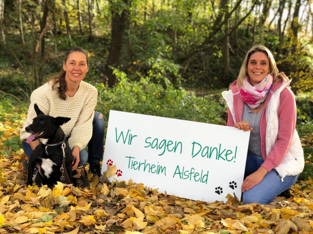 Großartige Spenden!!!