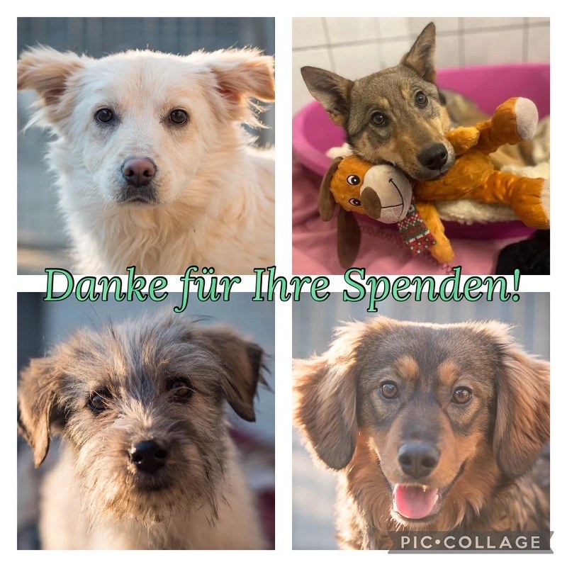 Danke für Ihre Spenden