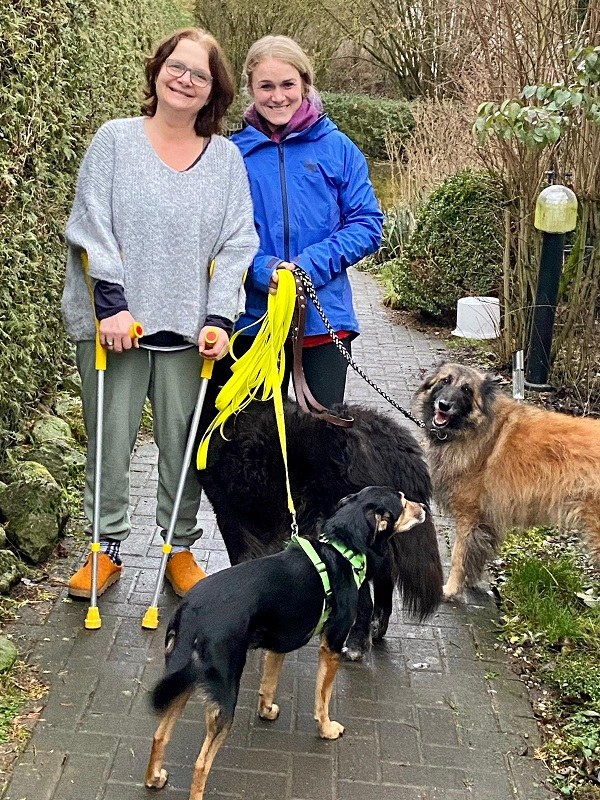 Die mit den Hunden geht…