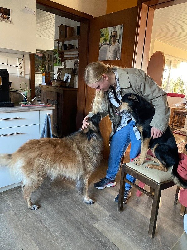 Die mit den Hunden geht...