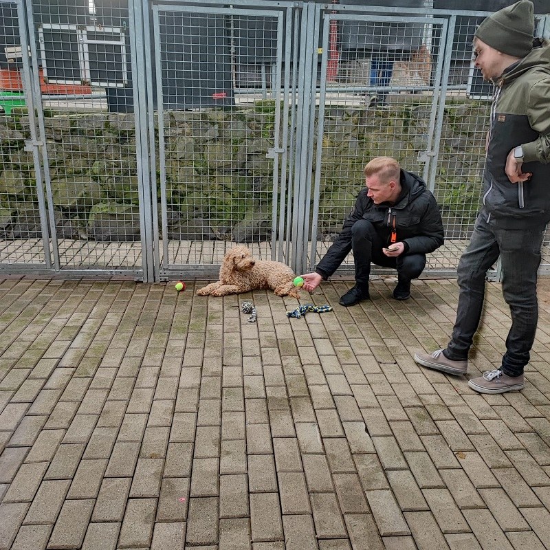 Großer Überraschungsbesuch