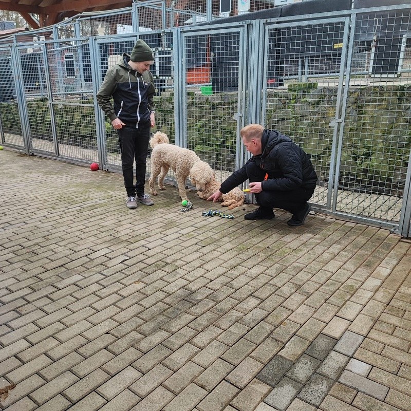 Großer Überraschungsbesuch