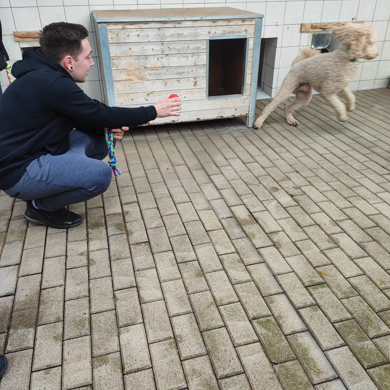 Großer Überraschungsbesuch