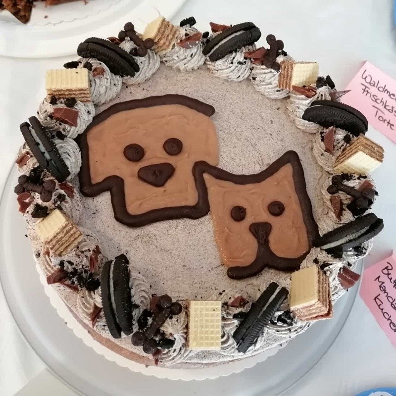 Gelungenes Tierheimfest