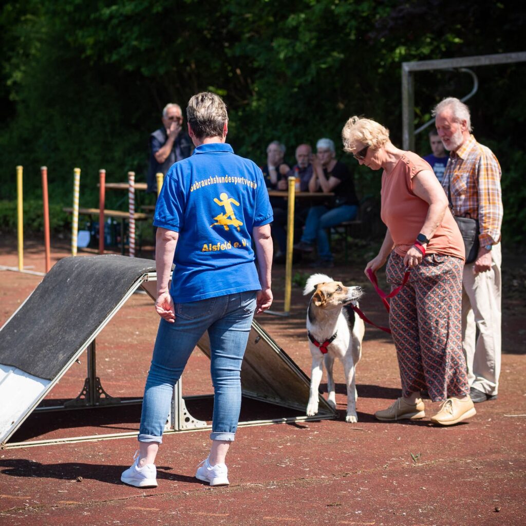 Gelungenes Tierheimfest