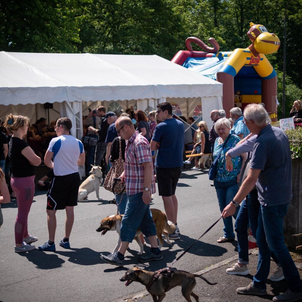 Gelungenes Tierheimfest