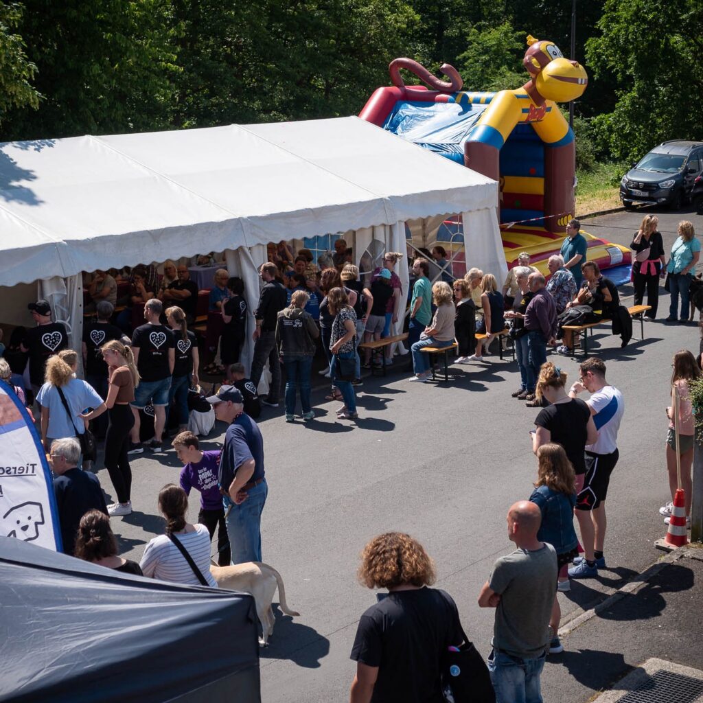 Gelungenes Tierheimfest