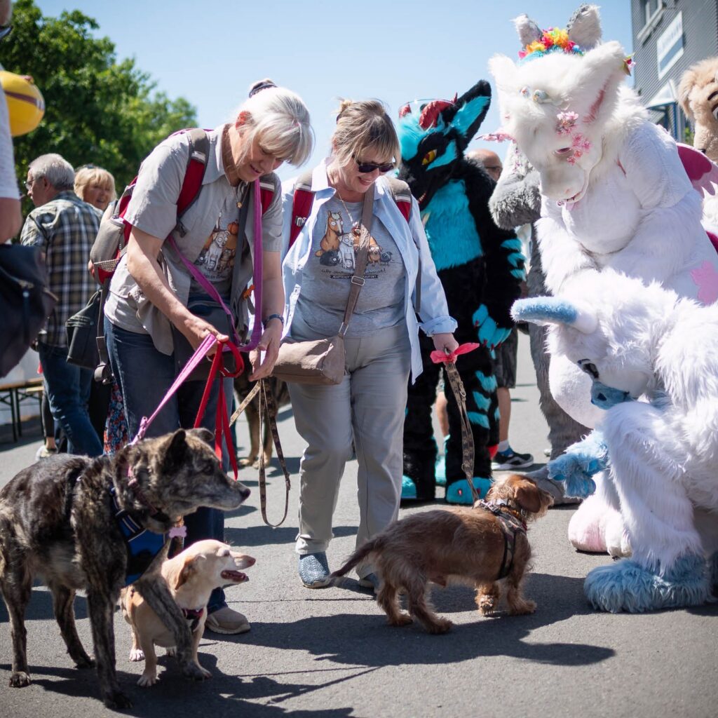 Gelungenes Tierheimfest