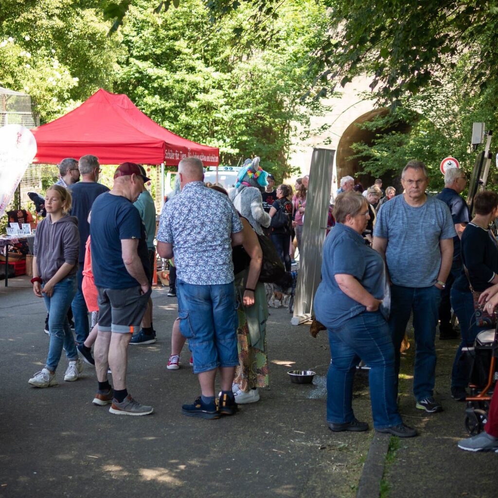 Gelungenes Tierheimfest